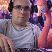 DjFlamingo